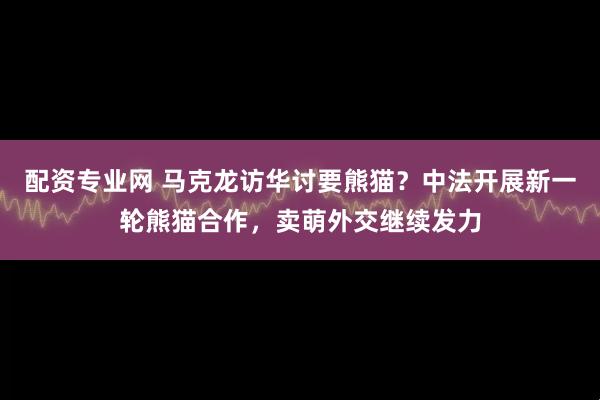 配资专业网 马克龙访华讨要熊猫?中法开展新一轮熊猫合作,卖萌外交继续发力