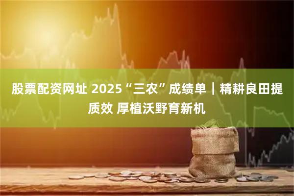 股票配资网址 2025“三农”成绩单|精耕良田提质效 厚植沃野育新机