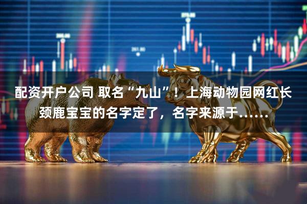 配资开户公司 取名“九山”！上海动物园网红长颈鹿宝宝的名字定了，名字来源于……